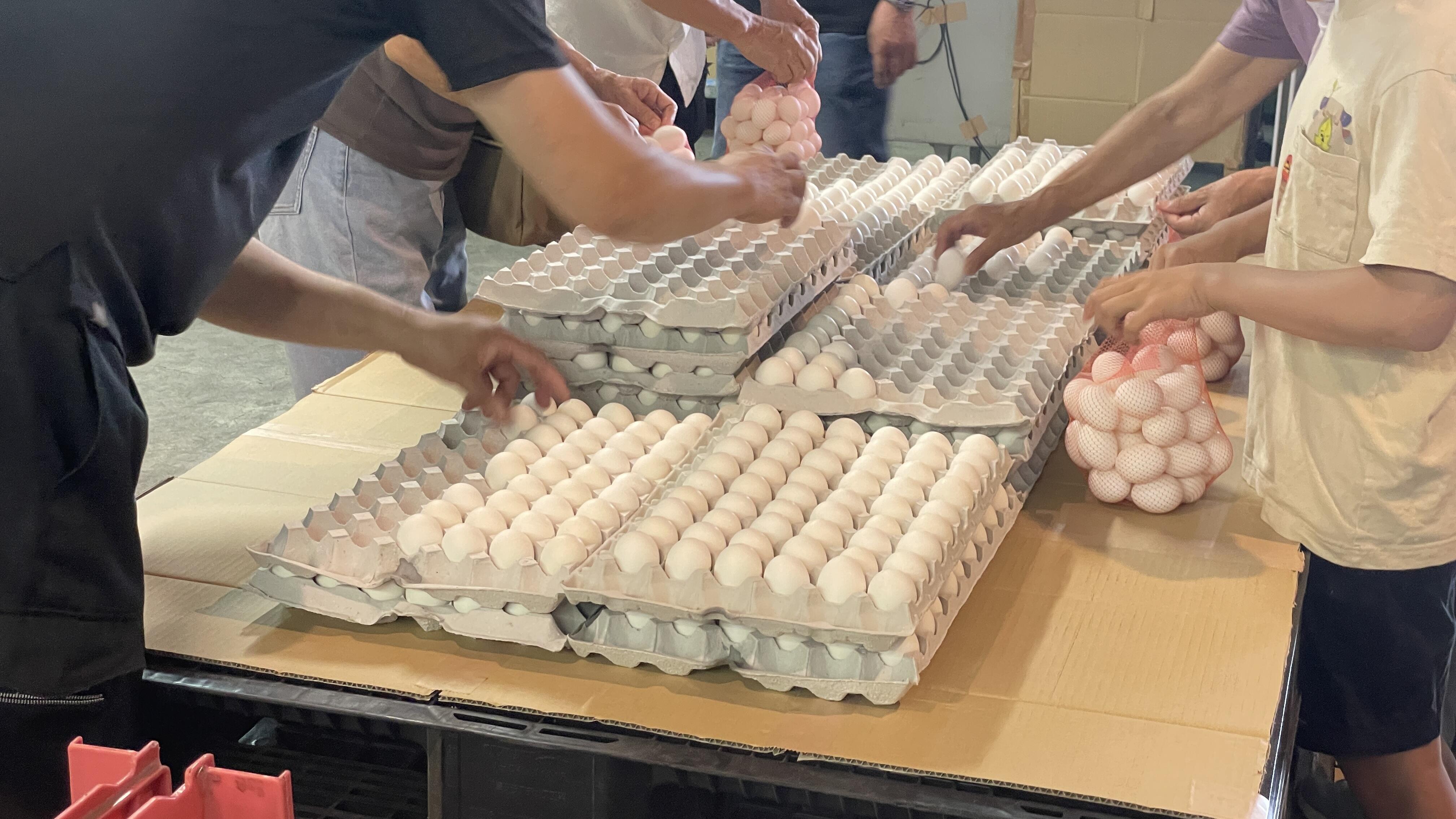 卵の詰め放題イベント2